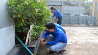 Tin 09 0320 01